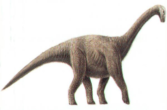 Lapparentosaurus 